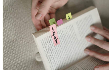 Formations "Organisateur de tournois" et "ARCLU" (ARbitre de CLUb)