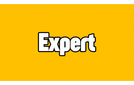 Expert